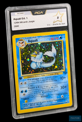 une image d'une carte Pokémon dans un étui en plastique