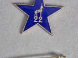 une image représentant un pin's orné d'une étoile bleue et d'une épingle dorée