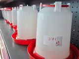 many plastic containers on a shelf in a store