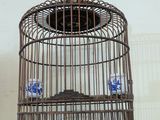 a bird in a cage that is on a table