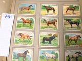 une photo d'un livre sur lequel figure une image de chevaux