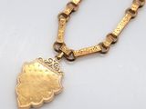an image of a gold necklace with a heart charm on it