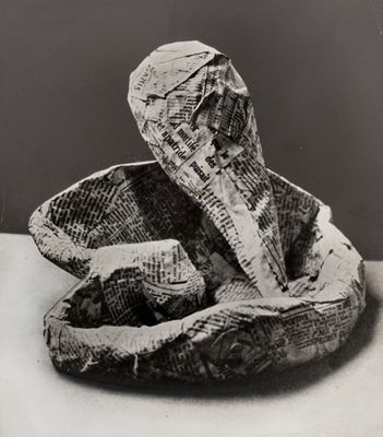 black and white photograph of a snake wrapped in newspaper on a table
