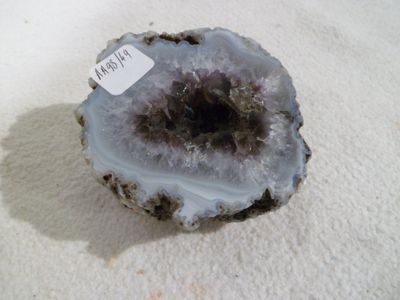 a picture of a piece of geoglyite with a price tag on it