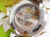 a close up of a watch with a leaf in the background