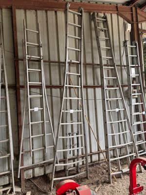 de nombreuses échelles appuyées contre le mur d'un immeuble
