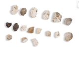 several pieces of rock are arranged in a row on a white surface