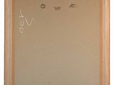 an image of a painting of a cat with eyes drawn on it