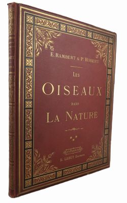 un vieux livre rouge orné d'inscriptions dorées, posé sur une surface blanche