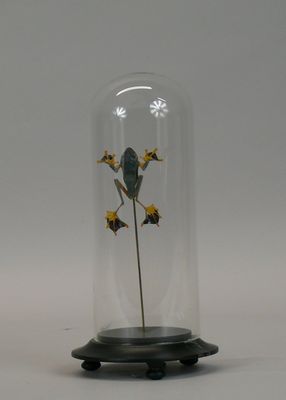 a glass dome with a flower inside of it
