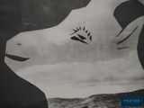 a black and white photo of a goat with a bird on it ' s head