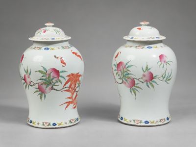paire de vases chinois avec des oiseaux et des fleurs peints dessus