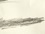 a pencil drawing of a piece of wood on a piece of paper