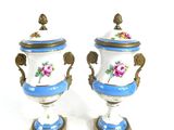 two blue and white vases with flowers on them