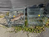 deux cages posées par terre, chacune contenant un poisson