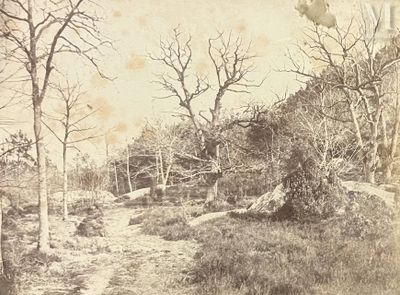 a black and white photo of a dirt road in the woods