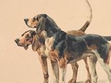 two dogs that are standing next to each other