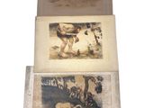 deux vieilles photos d'un homme et d'une femme dans les bois