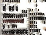 a lot of beetles that are on display on the wall