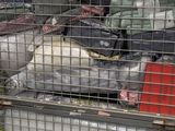 many bags of luggage sitting on top of a cart