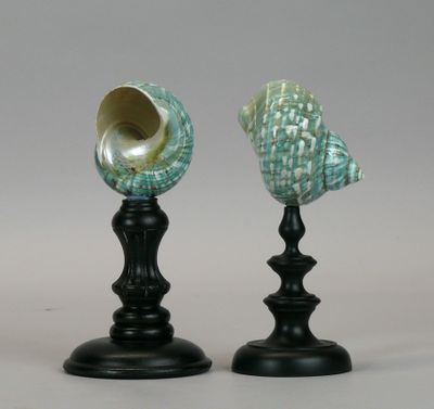 two black candlesticks with sea shells sitting on top of them