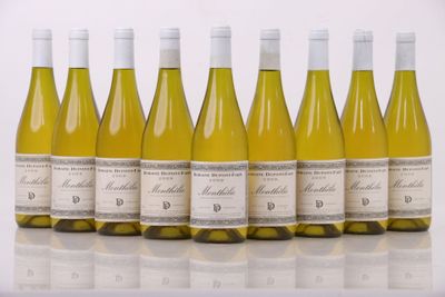 six bouteilles de vin blanc alignées sur une table
