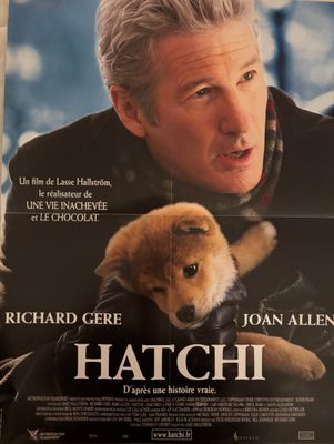 L'affiche du film « Hatch » est posée sur une table.
