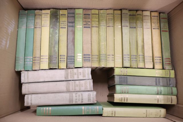 Lot de 7 cartons de livres divers