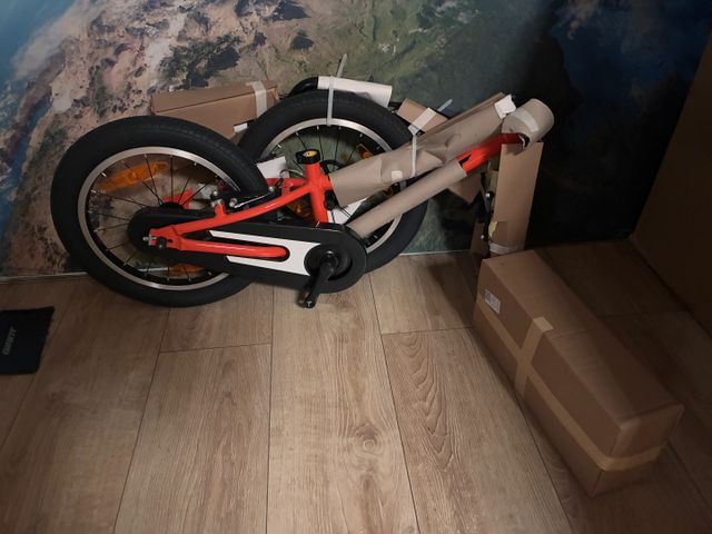 GIANT – Vélo musculaire enfant Animator.