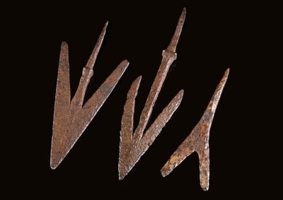 Lot de 12 pointes de flèches - 10215