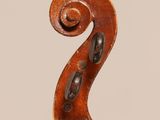 a close up of the back of a violin