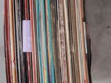 a cat that is standing next to a pile of records