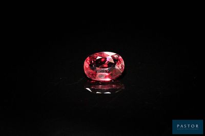 une colonne vertébrale rose colonne vertébrale colonne vertébrale colonne vertébrale colonne vertébrale colonne vertébrale colonne vertébrale colonne vertébrale colonne vertébrale colonne vertébrale colonne vertébrale colonne vertébrale colonne vertébrale colonne vertébrale colonne vertébrale colonne vertébrale colonne vertébrale colonne vertébrale colonne vertébrale colonne vertébrale colonne vertébrale colonne vertébrale colonne vertébrale colonne vertébrale colonne vertébrale colonne vertébrale colonne vertébrale colonne vertébrale colonne vertébrale colonne vertébrale colonne vertébrale colonne verté