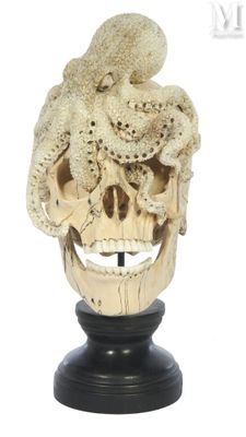 an image of a close up of a skull on a pedestal