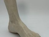 a sculpture of a foot that is on a table