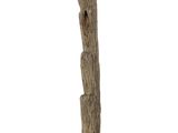 a tall tree trunk with a wooden base on a white background