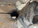 a cat that is sitting in a shoe on the floor