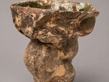 une image représentant un vase contenant une plante, posé sur un support