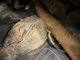a loaf of bread sitting on the floor of a car