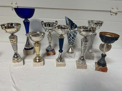 de nombreux trophées posés sur une table