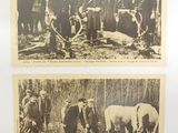 deux vieilles photos en noir et blanc représentant des hommes et des animaux dans un champ