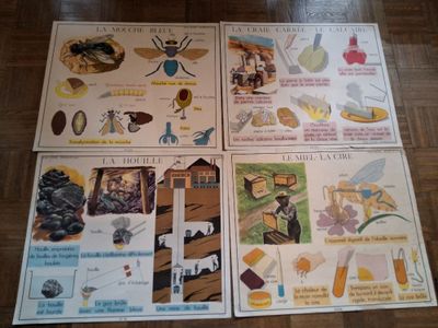 Lot de 7 grandes affiches scolaires, Editions ROSSIGNOL COOP… - Photo 1