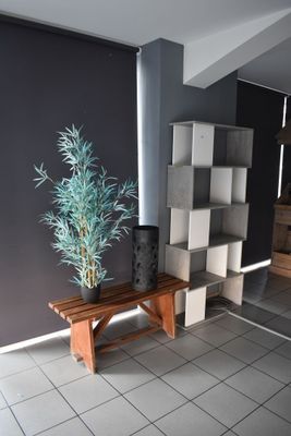 une plante posée sur un banc dans une pièce