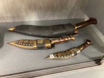 trois types de couteaux exposés dans une vitrine