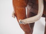 a close up of an elephant with a rope on it ' s back