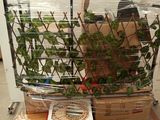 un chariot rempli de cartons contenant des plantes