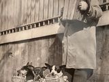 un homme qui se tient à côté d'un groupe de chiens