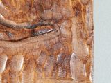 Photo 5/6 du lot