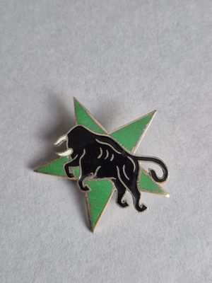 un taureau noir et vert sur une étoile verte, sous forme de pin's