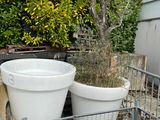 many pots of plants in a wire basket on the ground